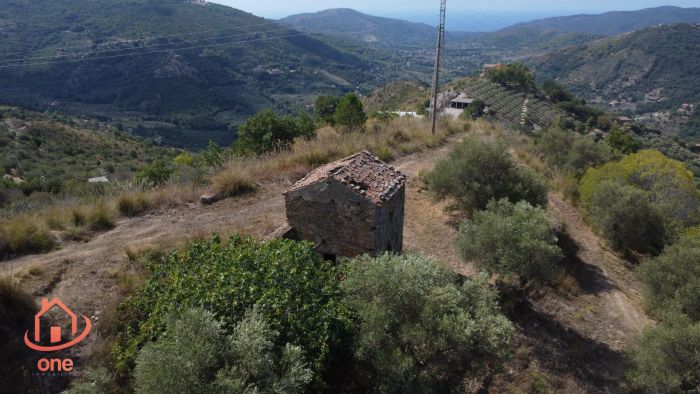 rudere-con-terreno-vista-mare (11)