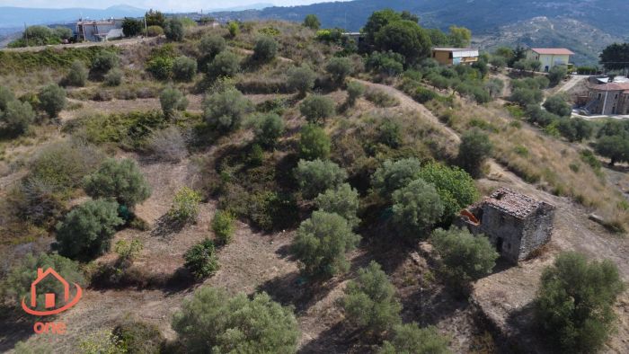 rudere-con-terreno-vista-mare (3)