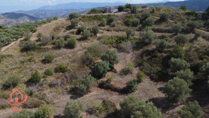 rudere-con-terreno-vista-mare (7)