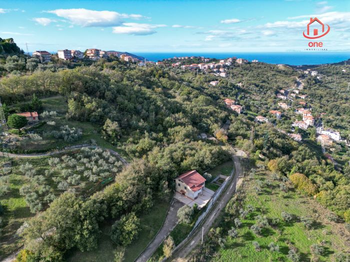 Villa-vista-mare-con-terreno-in-vendita-ad-Ogliastro-Cilento (7)