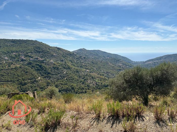proprietà-rustica-con-terreno-panoramico-montecorice-rudere (1)
