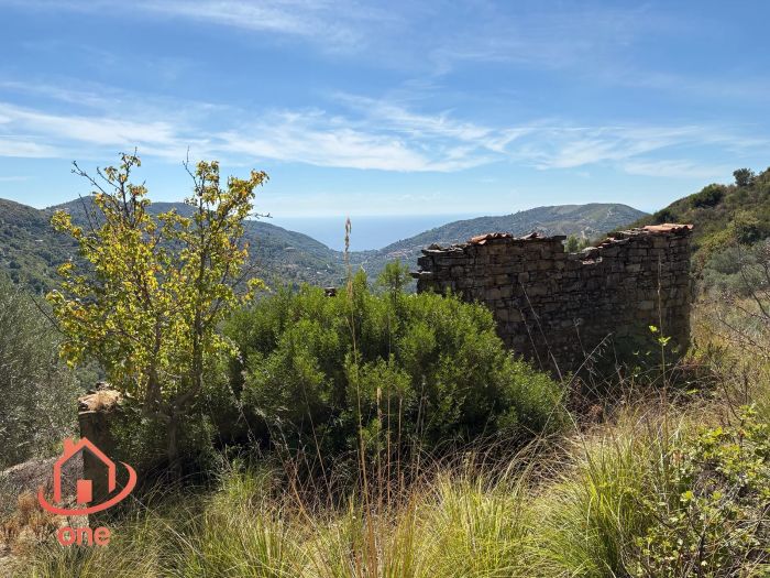 proprietà-rustica-con-terreno-panoramico-montecorice-rudere (10)