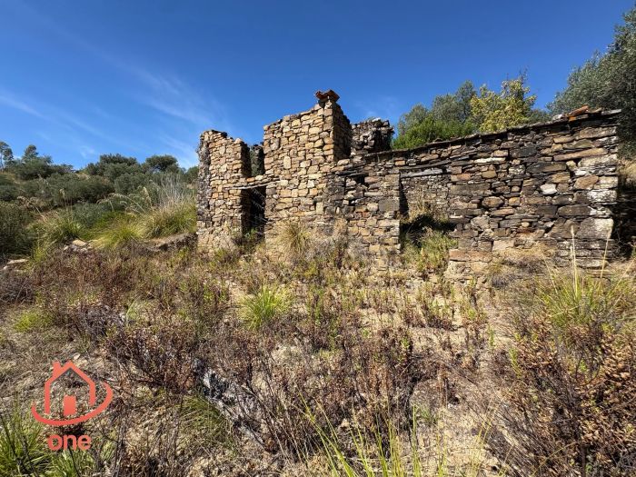 proprietà-rustica-con-terreno-panoramico-montecorice-rudere (13)