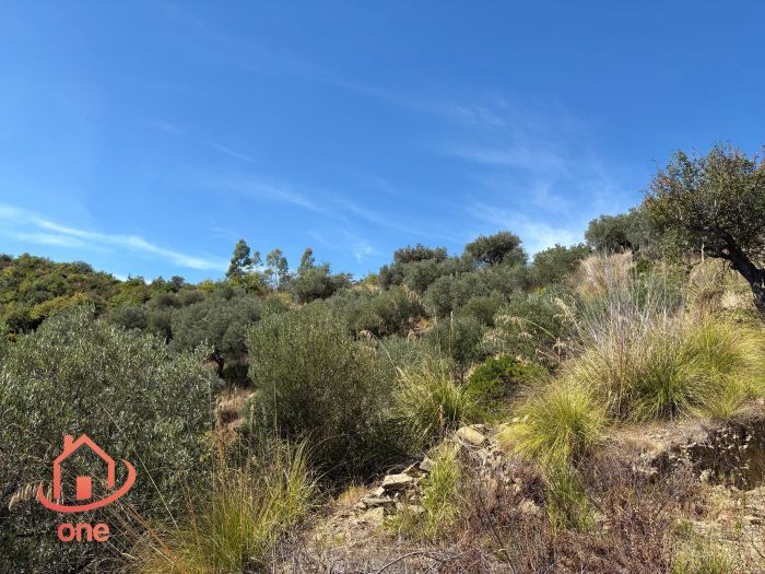 proprietà-rustica-con-terreno-panoramico-montecorice-rudere (14)