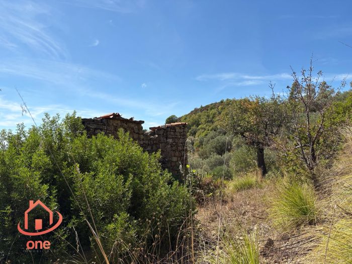 proprietà-rustica-con-terreno-panoramico-montecorice-rudere (17)