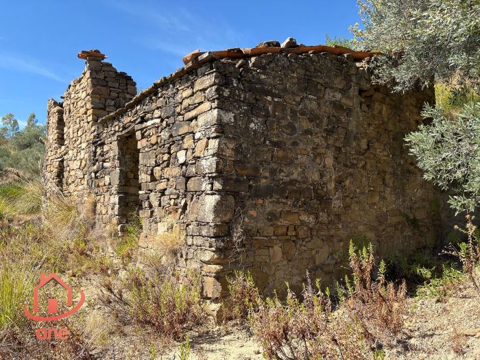 proprietà-rustica-con-terreno-panoramico-montecorice-rudere (19)