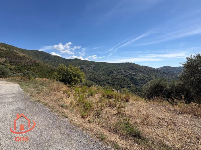 proprietà-rustica-con-terreno-panoramico-montecorice-rudere (20)