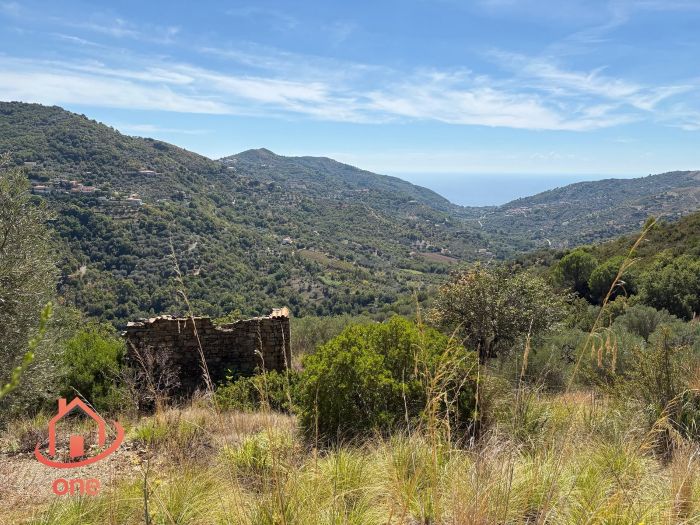 proprietà-rustica-con-terreno-panoramico-montecorice-rudere (4)
