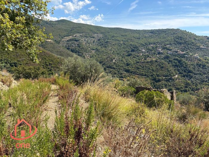 proprietà-rustica-con-terreno-panoramico-montecorice-rudere (5)