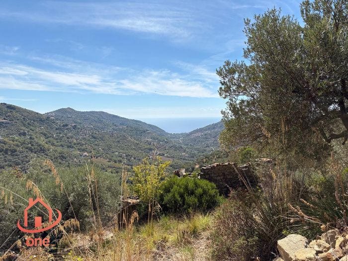 proprietà-rustica-con-terreno-panoramico-montecorice-rudere (6)
