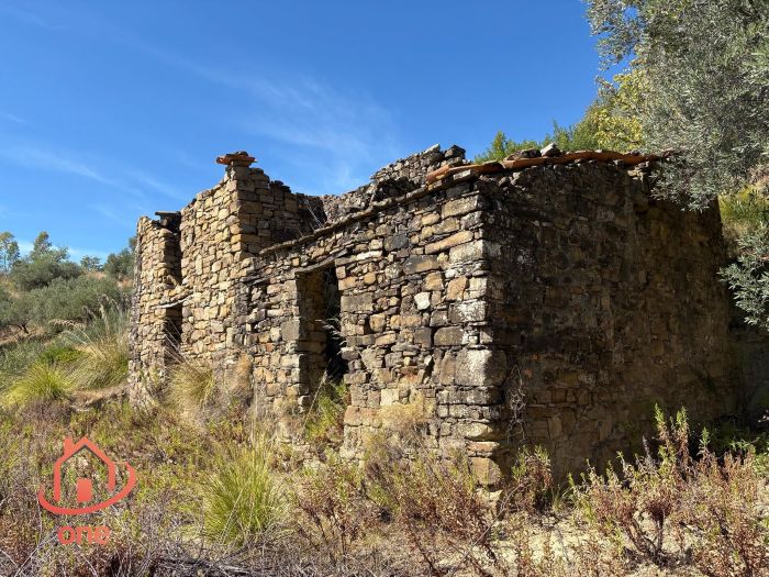 proprietà-rustica-con-terreno-panoramico-montecorice-rudere (7)