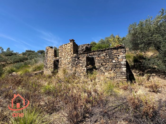 proprietà-rustica-con-terreno-panoramico-montecorice-rudere (8)